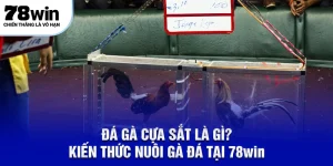 Đá gà cựa sắt 78win
